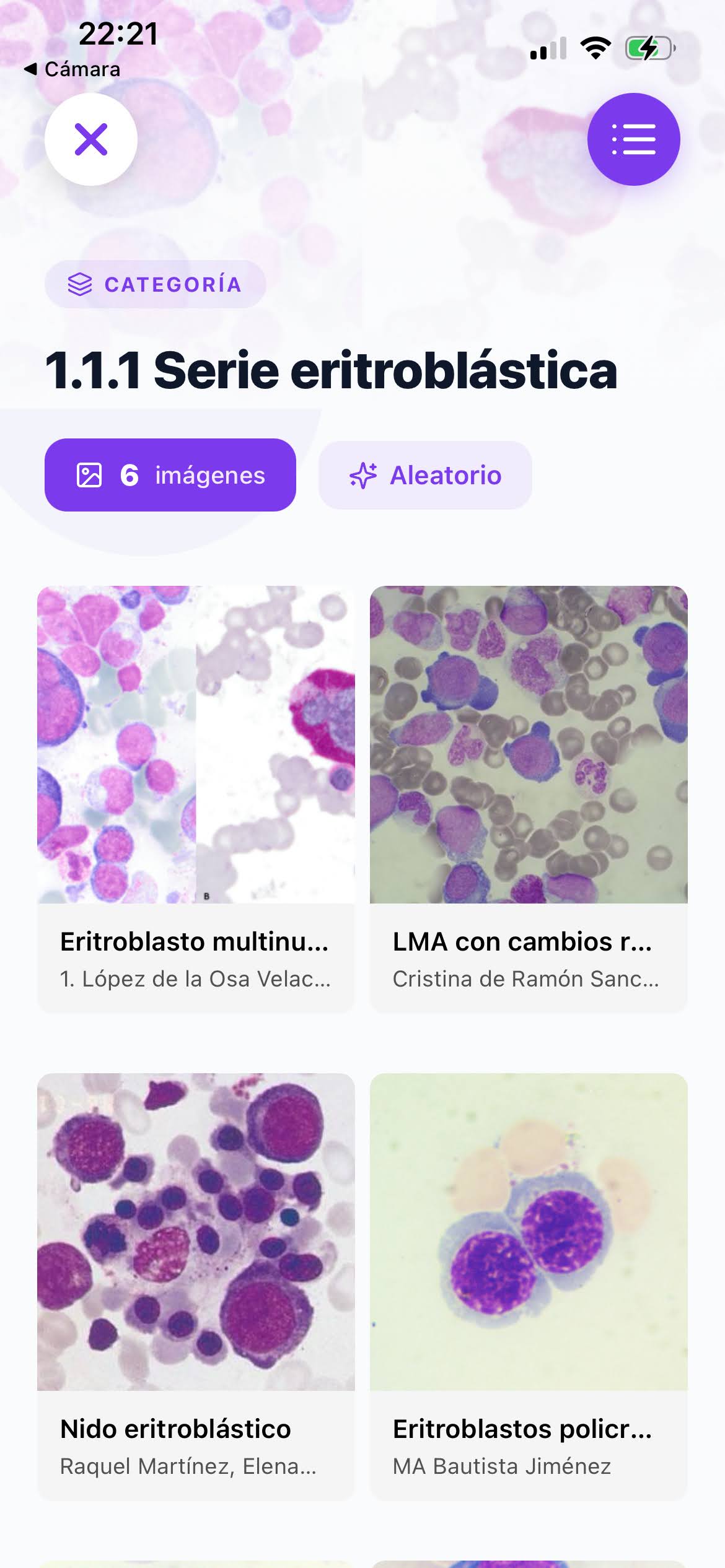 Freelance Project Screenshot (2)