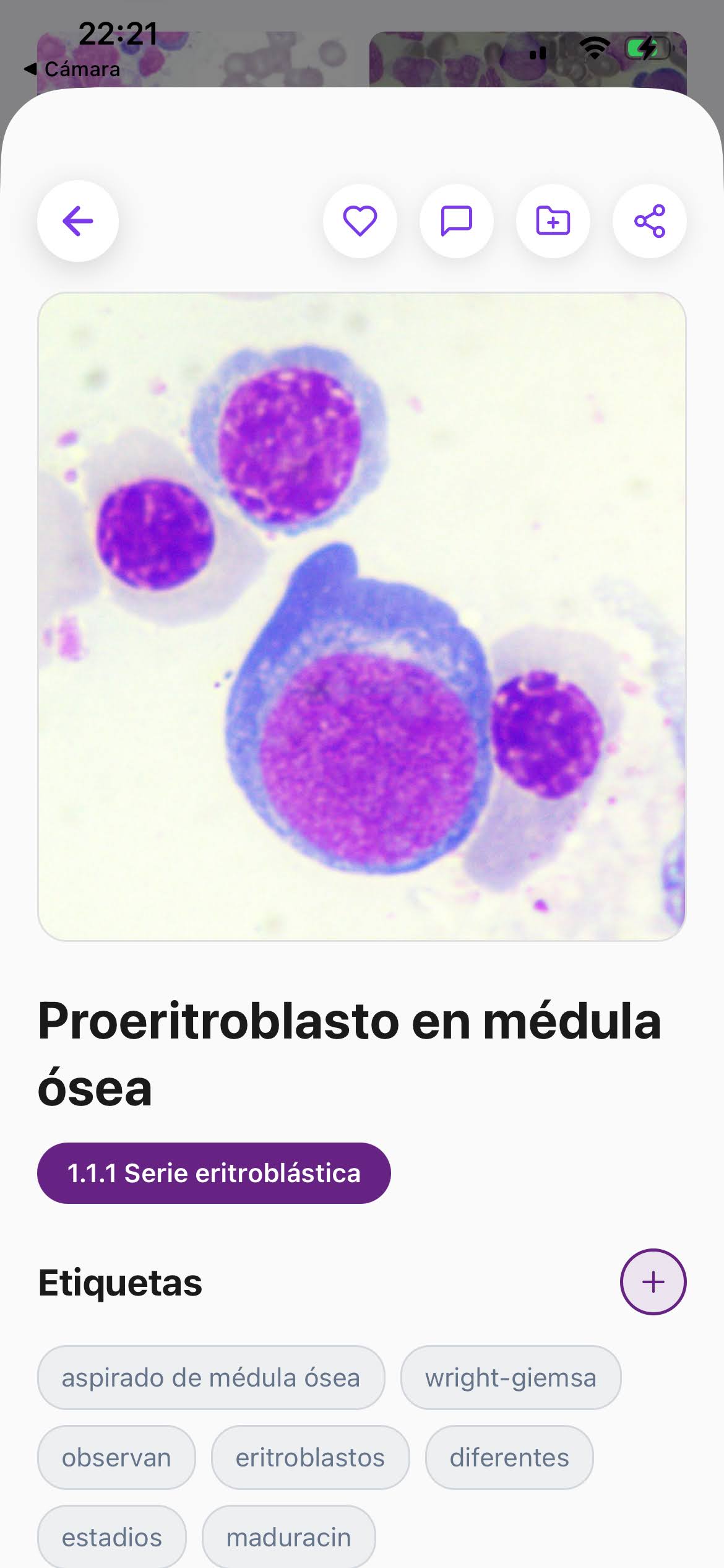 Freelance Project Screenshot (3)